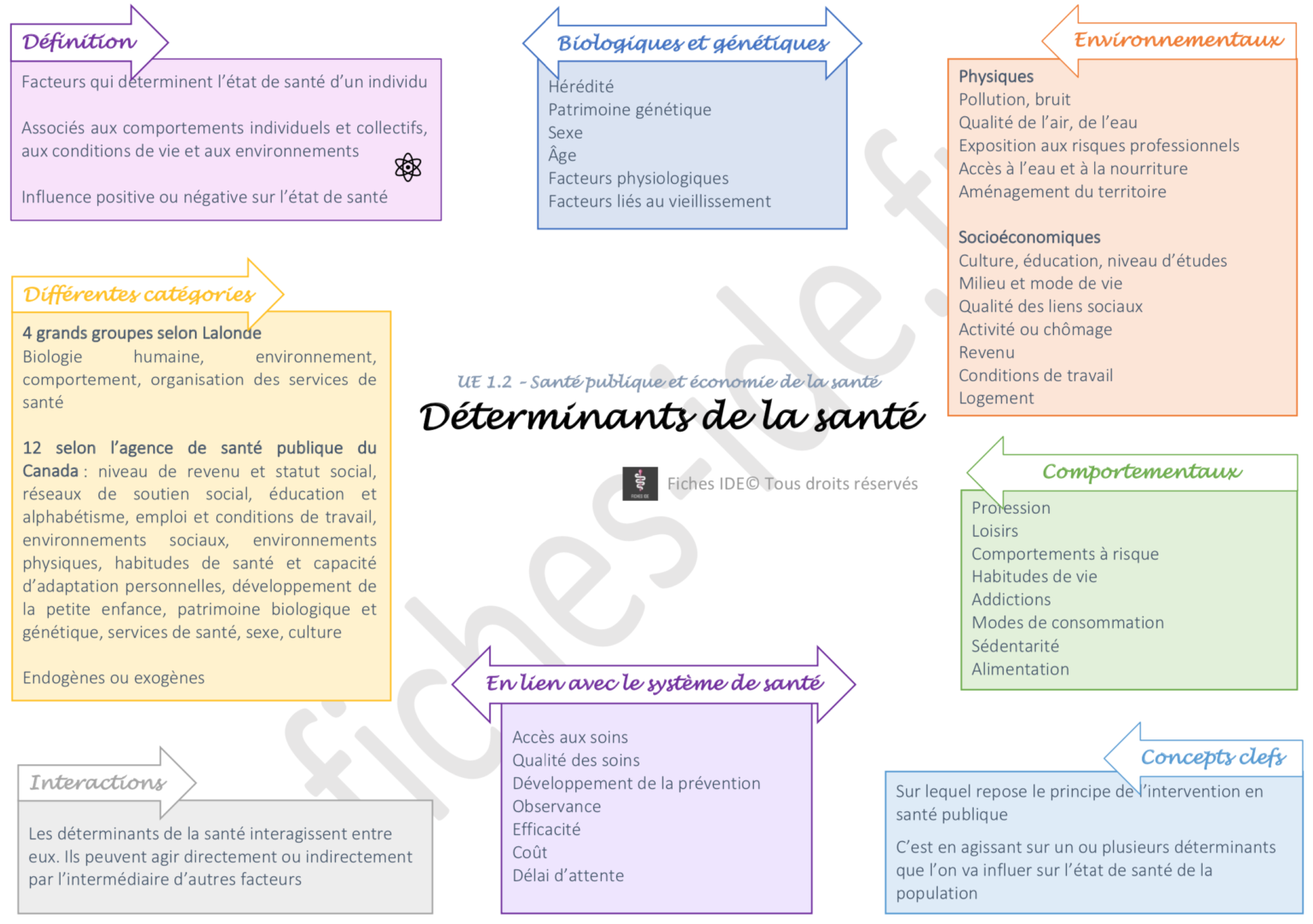 1 Schéma Déterminants de la santé Fiches IDE