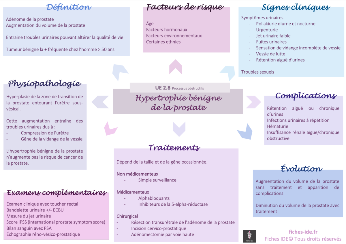 11 Schéma Hypertrophie bénigne de la prostate Fiches IDE