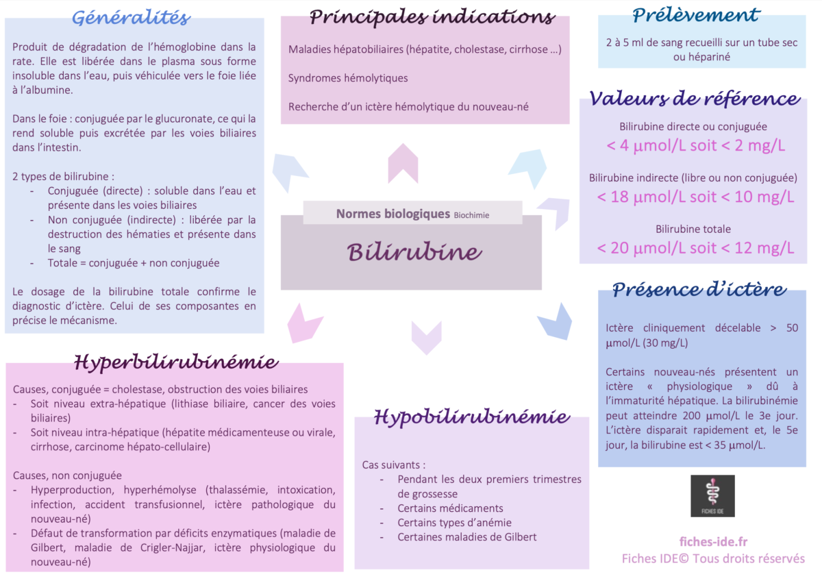 Bilirubine Normes Biologiques Cours IFSI Fiches IDE