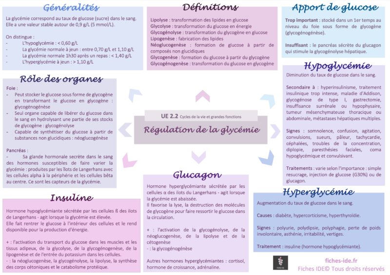 R Gulation De La Glyc Mie Fiches Ide