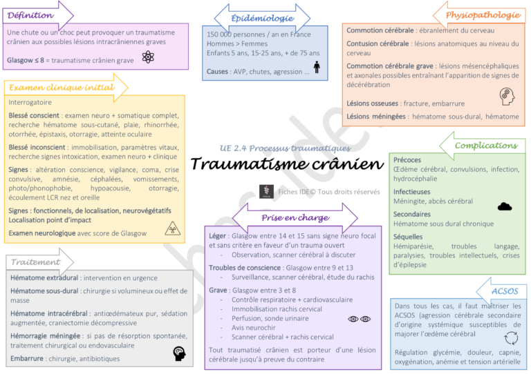 2. Schéma - Traumatisme Crânien 2 - Fiches IDE