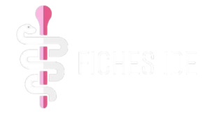 Logo Fiches IDE