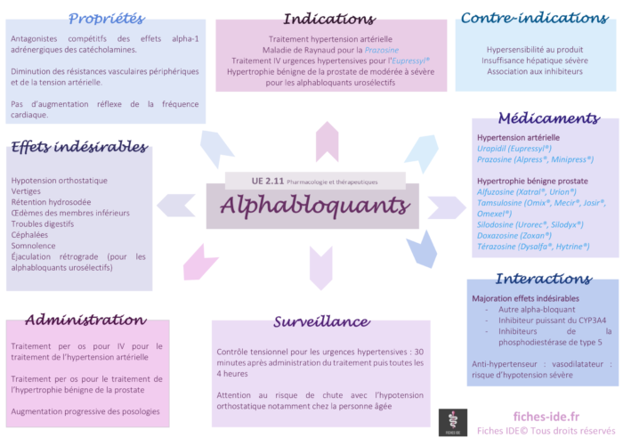 Alphabloquants - Fiches IDE