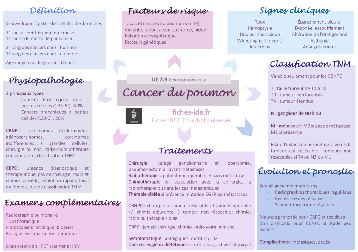 Cancer Du Poumon Fiches Ide 