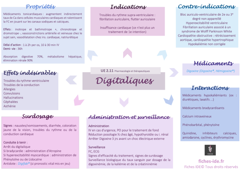 34. Schéma - Digitaliques - Fiches IDE