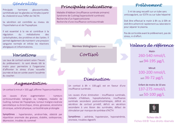 Cortisol - Fiches IDE